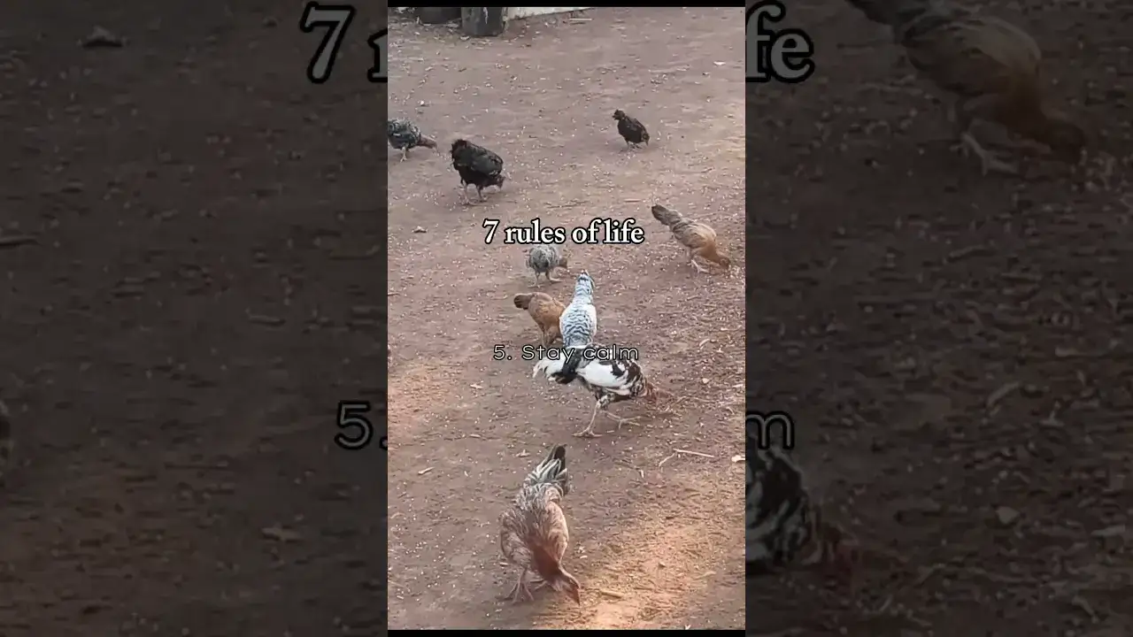 7 Rules in Life