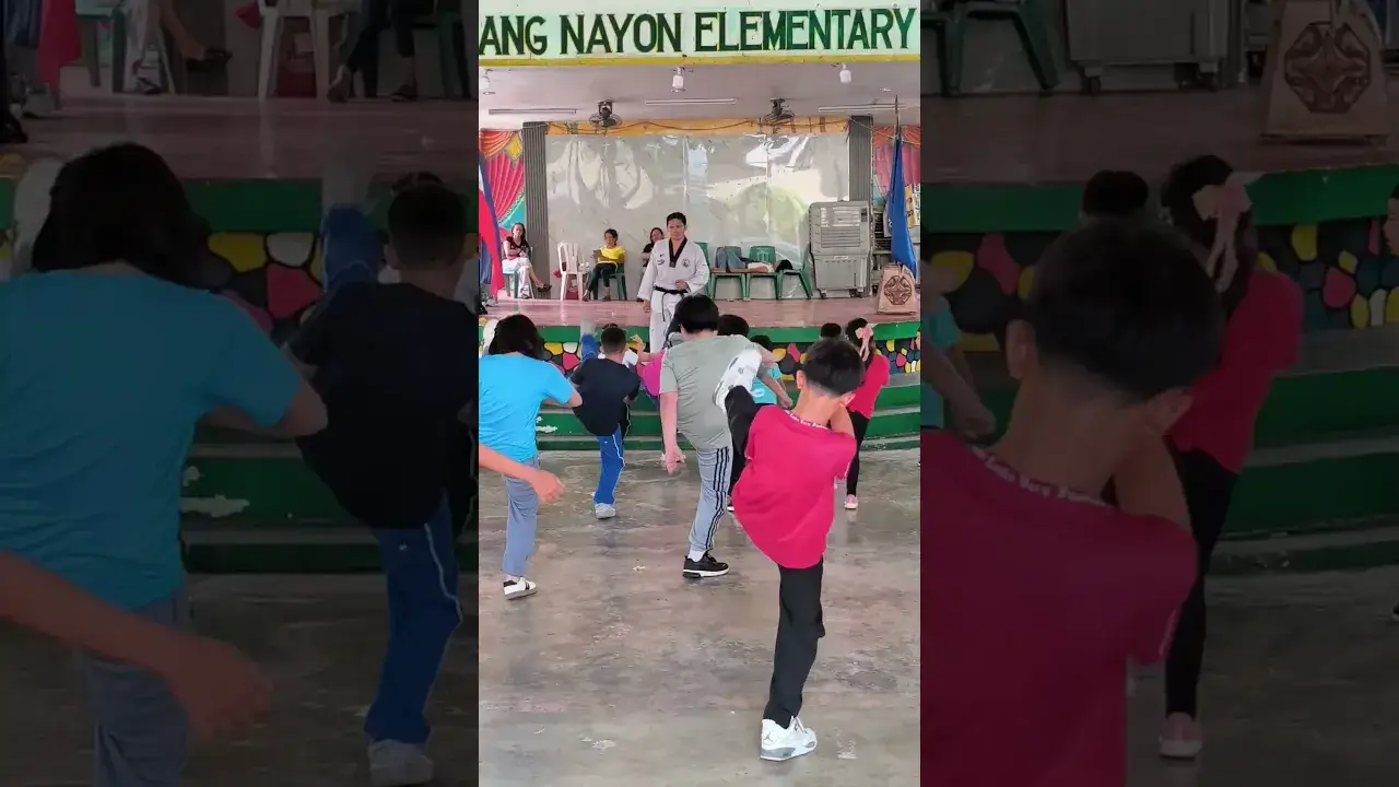 PTA-PTS-NNES Taekwondo Team